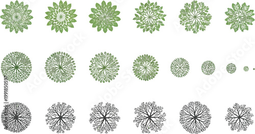 Evolution and structural variations of virus particles under microscopic visualization Vector