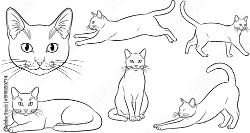 Cute Cat Line Art Vector Illustration Set Featuring Various Poses Like Jumping, Sitting, Stretching, and Sleeping for Pet Shop Branding and Animal Lovers