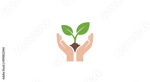 Hands cradling a small green plant.