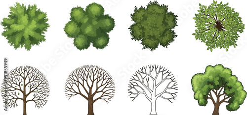 Diverse illustrations of tree canopies and bare branches in varying artistic styles Vector
