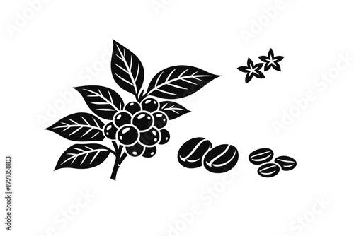 Black and White Vector Illustration of a Coffee Plant Branch with Lush Leaves, Ripe Berries, Roasted Coffee Beans, and Delicate Flowers; Minimalist Flat Design for Cafe Branding and Packaging.