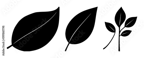 Corporate social responsibility leaf set with solid black icon on white background featuring leaf, circular, environmental with icons and sustainability
