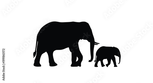 Silhouette of an adult elephant walking with its young calf