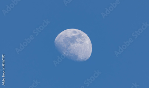 Vászonkép Half moon visible in blue daytime sky with clear background