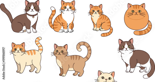 Cute domestic cat illustration collection with different breeds poses and colors pet animal isolated vector design set