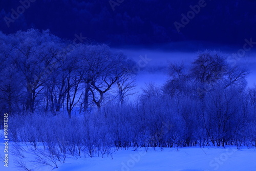 朝陽に染まる樹氷と川霧