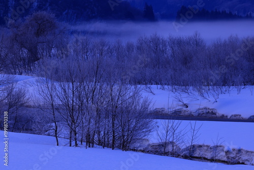 朝陽に染まる樹氷と川霧