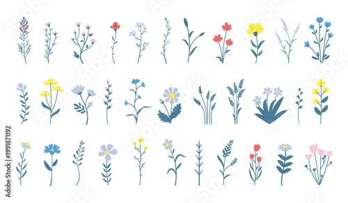 Wild small flowers vector set. Wildflowers botanical collection. Spring floral hand drawn elements.