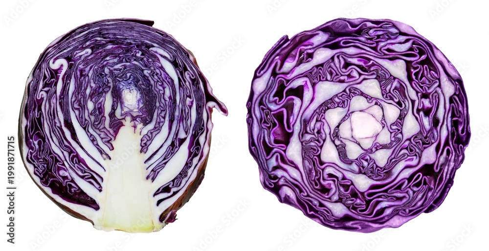 Fototapeta premium Vibrant sliced purple cabbage halves element set isolated on white
