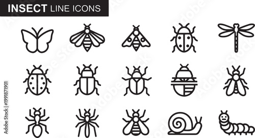 Insect line icons collection black.