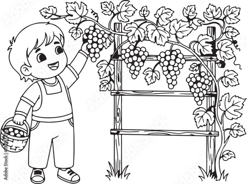 Cute Child Picking Grapes from Vine – Fruit Harvest Line Art Drawing
