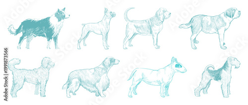 Fotografie Illustrated diverse dog breeds element set