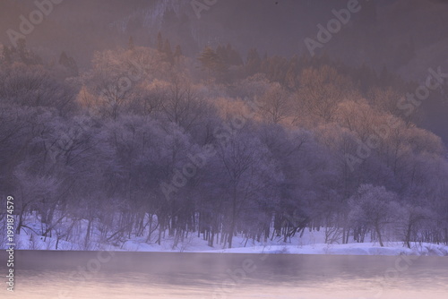 川霧立ち込める朝