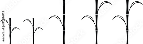 Minimal Bamboo Stalk Silhouette Vector Set with Simple Asian Plant Elements, Black Botanical Design for Nature and Zen Style