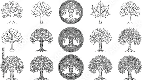 Detailed Tree of Life and Forest Trees Vector Set with Ornate Botanical Designs, Vintage Nature Illustrations in Black Line Art Style