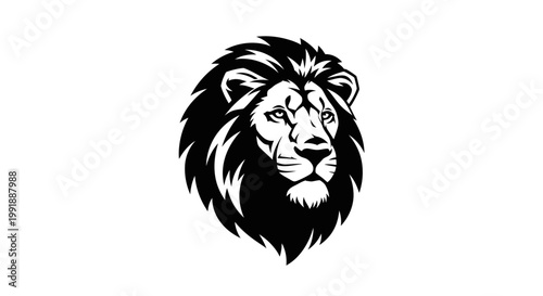 Black and white lion head portrait.