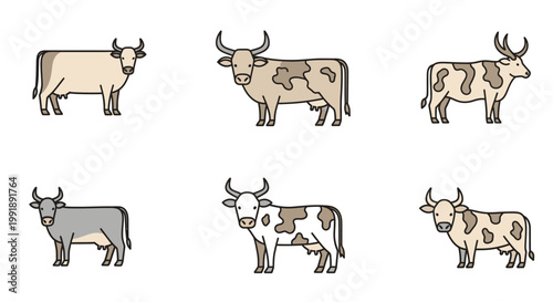 Illustrated cows collection diverse outlines and horned mammals for design