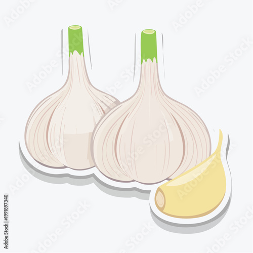 Illustration of two garlic bulbs and one clove