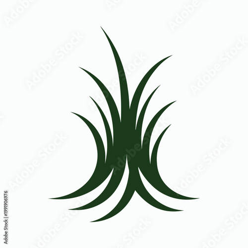 An isolated vector illustration of a tropical aloe vera plant featuring green herbal leaves and botanical flora for nature and garden designs