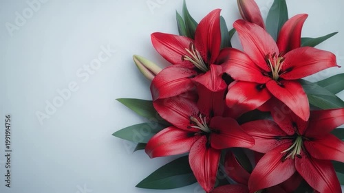Vivid red lilies bloom with green leaves against a light background, arranged to fill a corner