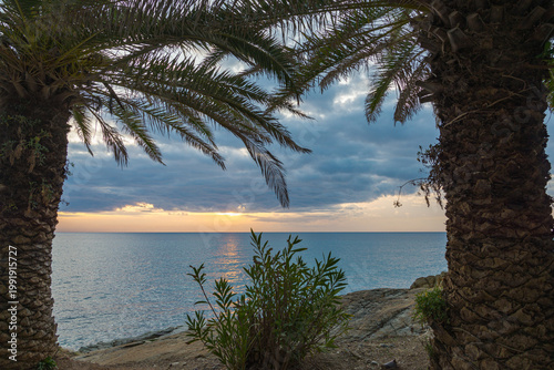 Sunrise on the promenade of the village of Varazze, Liguria, Italy. Big palm trees at both sides. Calm mediterranean sea with dramatic clouds on the background.