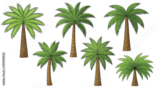 Six palm trees arranged in a scattered formation against a plain background