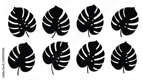 Collection of stylized monochrome monstera leaves arranged in a grid pattern