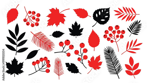 Vibrant autumn leaves and berries illustration collection in black and red