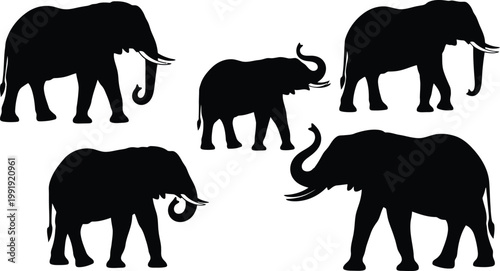 Elephant silhouette collection showing diverse wild animals in black shape isolated on a white background