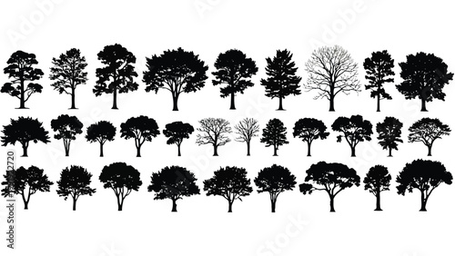 Diverse silhouettes of trees in various shapes and sizes against a plain background