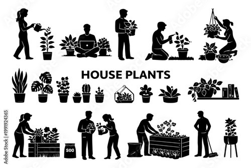 Silhouette of people caring for house plants indoors.