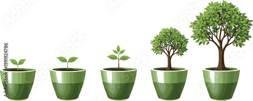 Plant growth stages in pots from seedling to mature tree gardening development botanical life cycle vector illustration