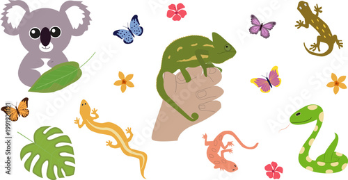 Tropical animals and nature set