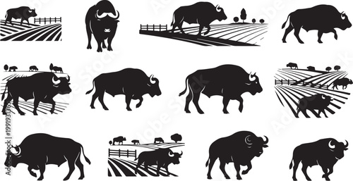 Bison Silhouettes in Various Rural Scenes Walking Freely