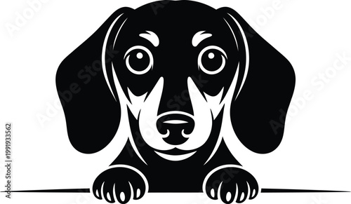 Stylized Dachshund Dog Silhouette Vector Illustration with Large Eyes Long Ears and Minimal Bold Lines