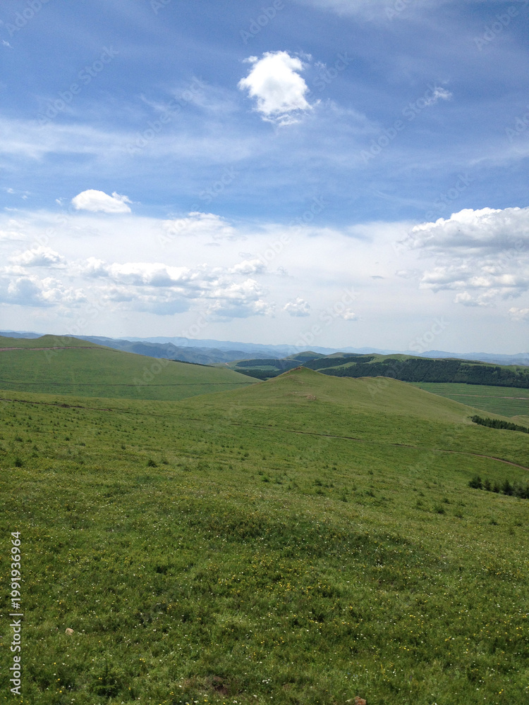 Fototapeta premium Vast green grassland under a blue sky with white clouds