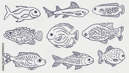 Tropical fishes hand drawn collection