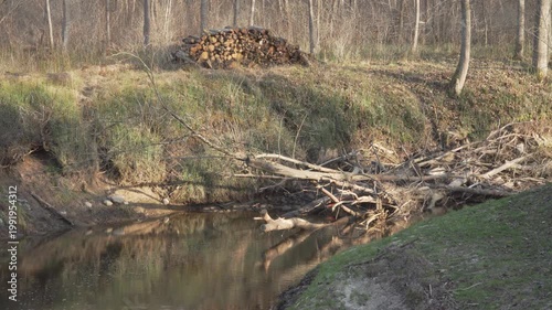Sunlight glints on the water of a narrow drainage ditch filled with driftwood. Piles of stacked logs from forest work rest on the far bank beneath bare spring trees in the quiet countryside. 