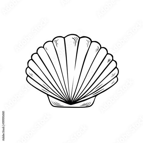 Hand-drawn black and white illustration of a single scallop shell