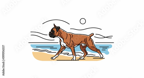 A brown boxer dog walks along a sandy beach by the blue ocean under a simple sun