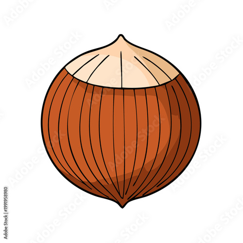 Single Whole Hazelnut Nut Illustration With Natural Shell Texture and Creamy Top