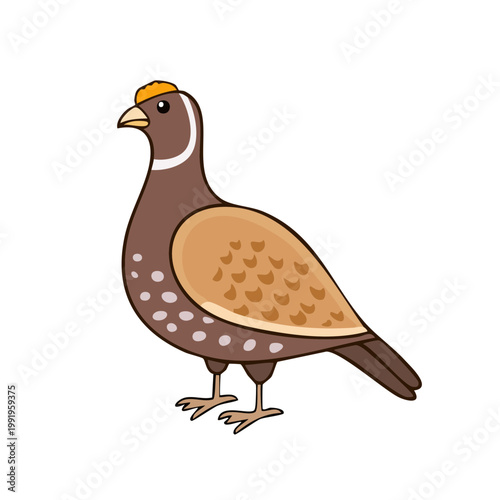 Stylized cartoon illustration of a colorful quail bird standing profile view