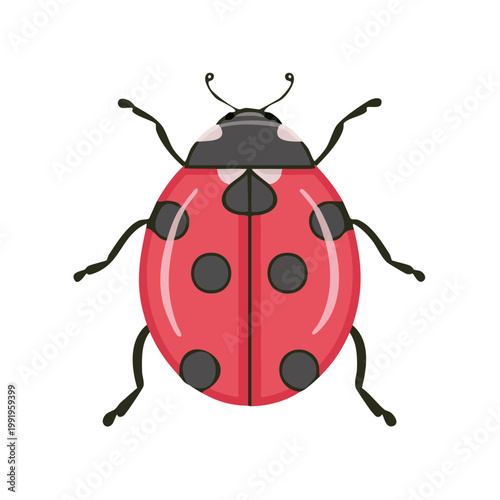 Cute Cartoon Ladybug Insect With Black Spots On Red Wings And Black Head And Legs