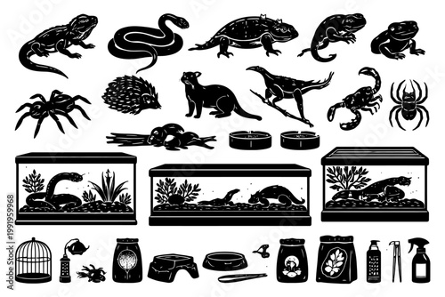 Collection of reptiles, arachnids, and pet supplies silhouettes.