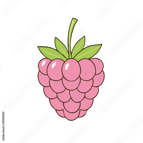 Cute pink raspberry with green stem and leaves simple illustration