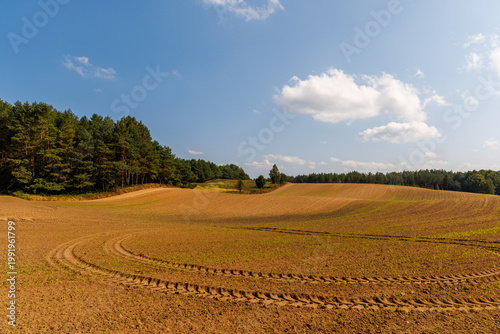 Panoramic view of freshly plowed farmland with tractor tire tracks, rolling fields and forest edge under blue sky, rural agriculture landscape