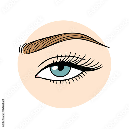 Close up of a woman's eye and eyebrow with long eyelashes and light brown hair detail