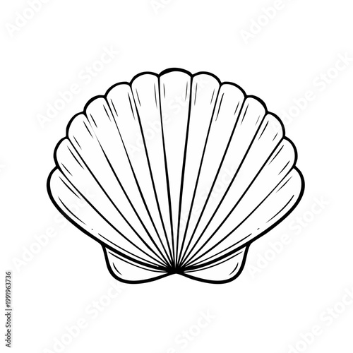 Simple line drawing of an open seashell