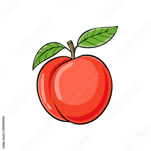 Single Ripe Peach with Two Green Leaves and Stem Isolated on White