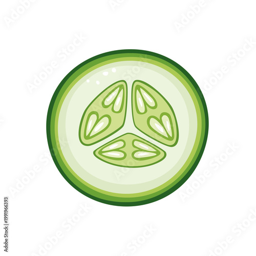 Fresh cucumber slice illustration vibrant green healthy food ingredient isolated on white